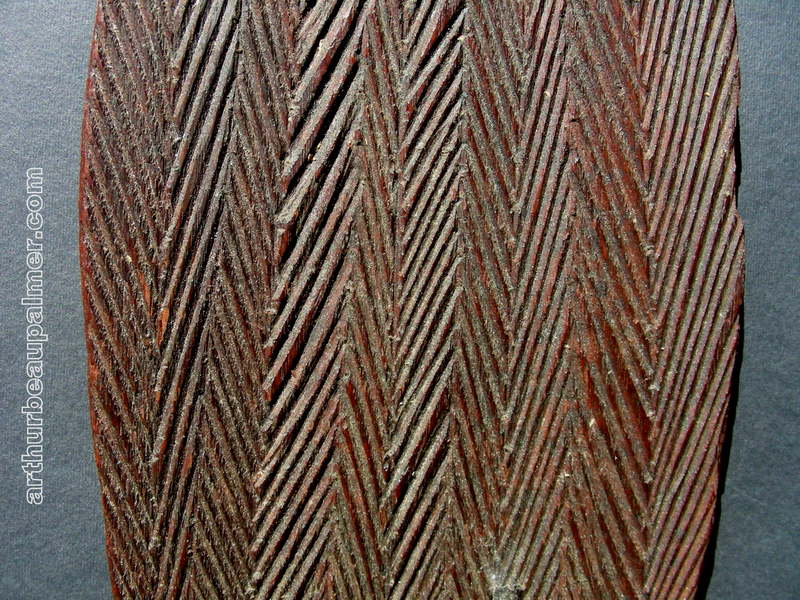 LaGrangeWoomera3