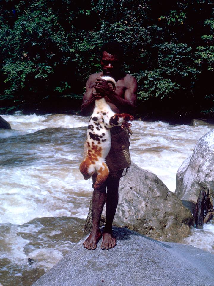 Mutuaga5