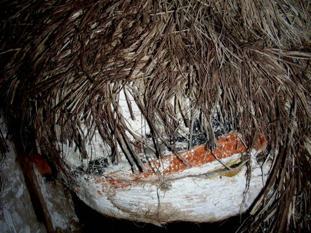 NImaskA8