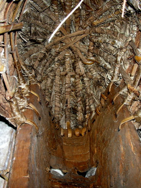 NImaskA9