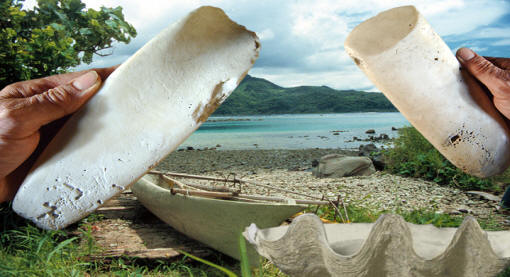 tridacnaislandscene